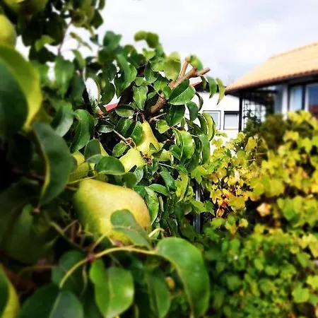 Деревянный коттедж Letniskowe Pod Orzechem Dziwnowek-wrzosowo *