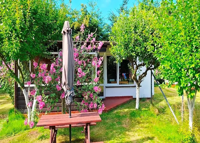 Pod Orzechem - Dziwnowek-wrzosowo Orman Evi Wrzosowo (Kamien)